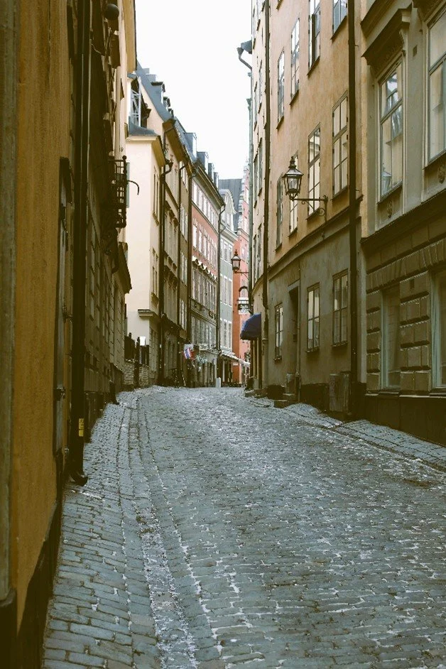 âWhiskers Malone and the Case of the Vanishing Violinâ
The morning mist clung to the cobblestones like secrets. Flags fluttered overhead, gossiping in the breeze. And there, perched on a wrought iron lantern like he owned the whole block, was Whiske