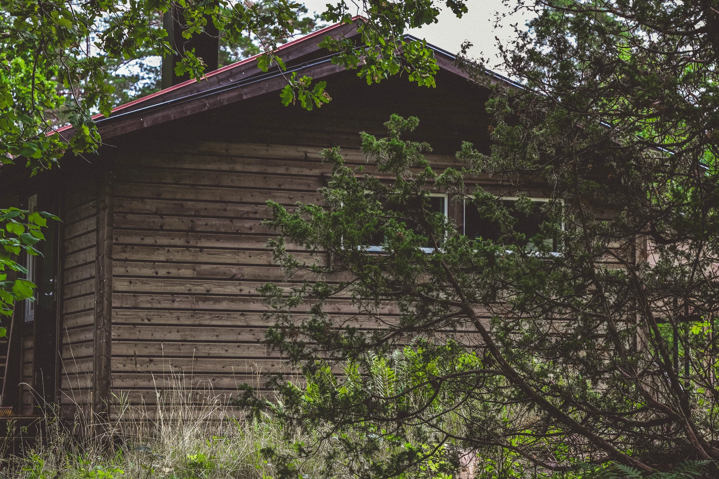 âThe Cabin Where Stories Liveâ
As told by Merlin the Owl
Em excuse⊠but if youâve never spent an evening in a cabin deep in the woods, with a fire crackling and cinnamon steam curling from your mug, youâve missed autumnâs true magic.
I settled into