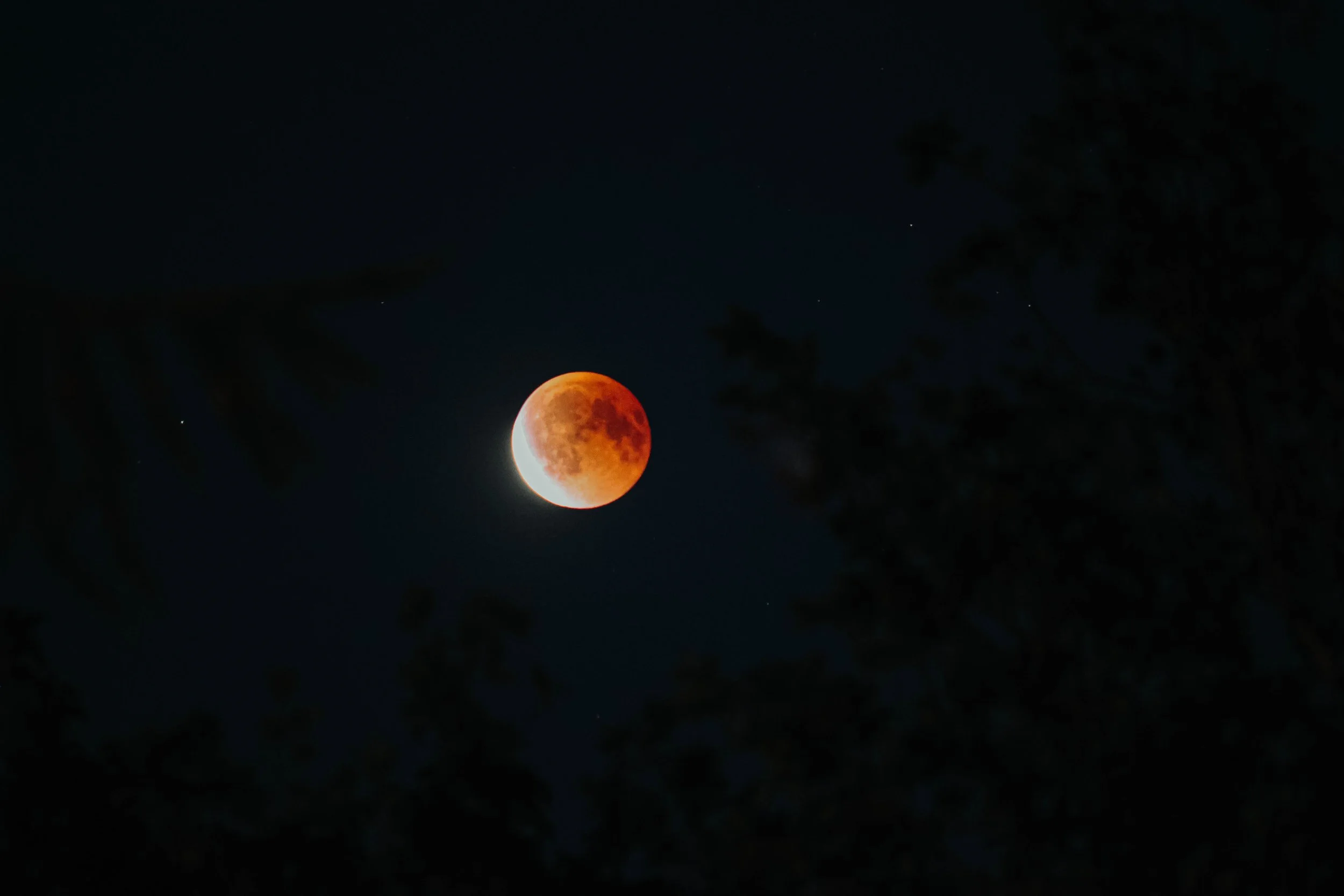Dear reader,
October is coming, and with it, the hush of fallen leaves and the stir of something unseen. Beneath the blood moonâs eerie glow, the air thickens with whispers from the other side. Ghostsâgentle and grimâbegin to drift through the veil,