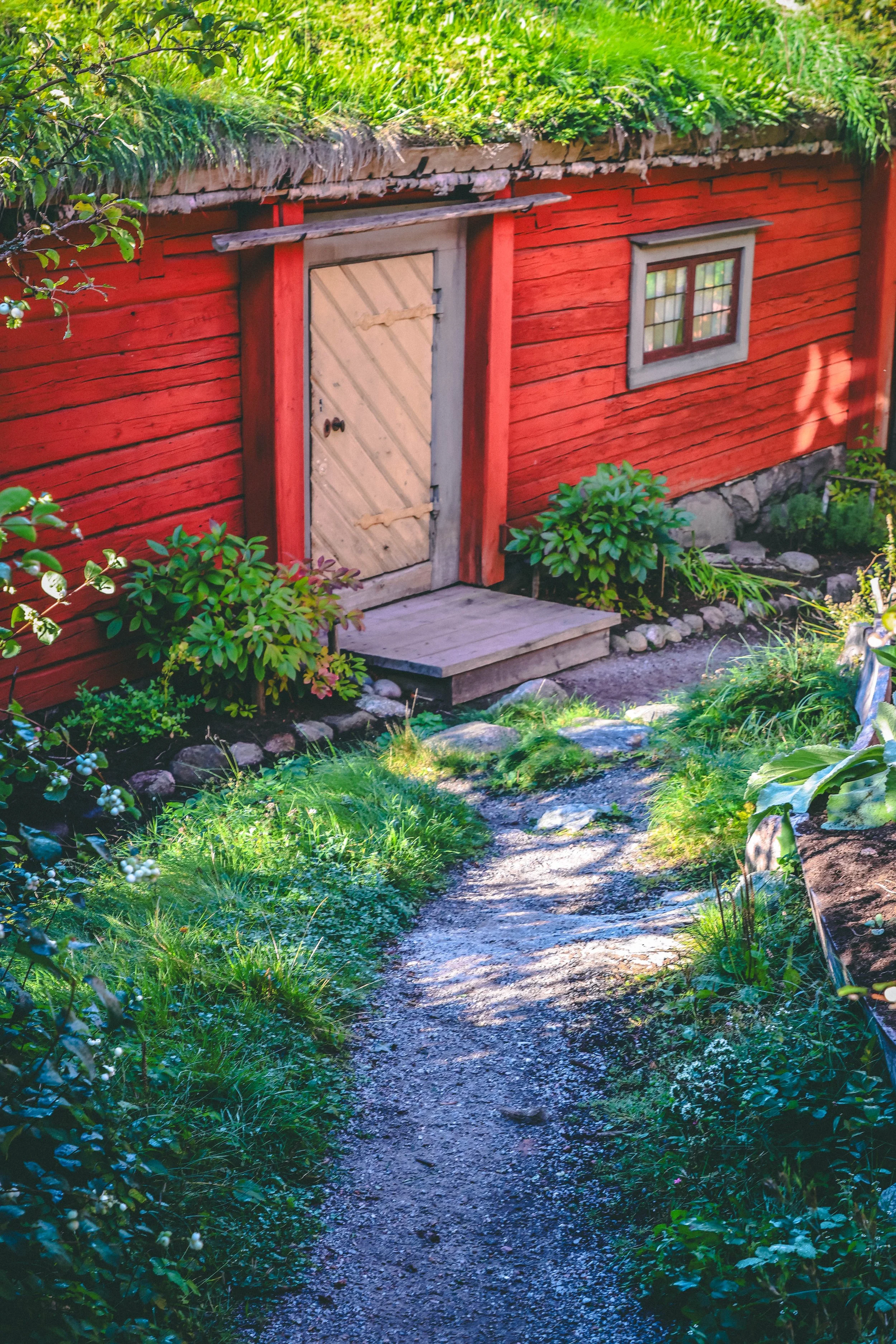Autumnâs Embrace
The morning air bit gently at the skin, crisp and clean, carrying the scent of damp earth and fading leaves. Sunlight filtered through the thinning canopy, casting golden flecks across the moss-covered roof of the little red cabin n