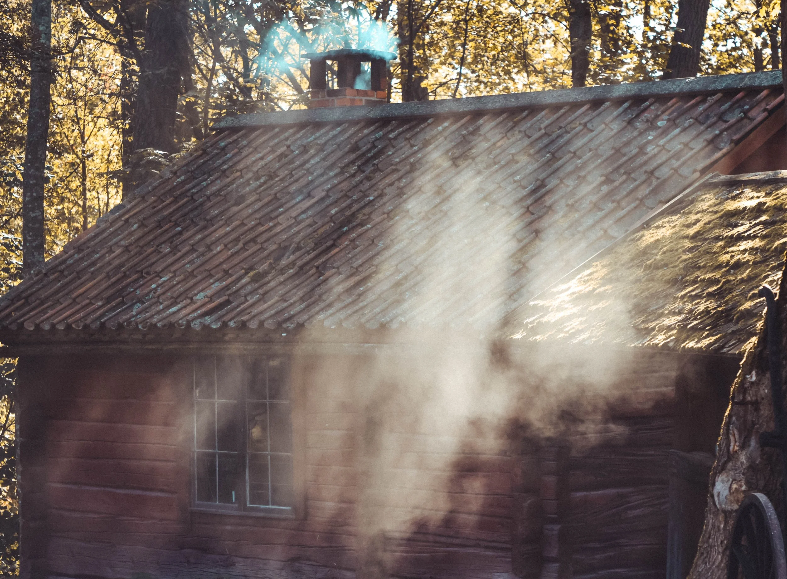Where fire meets craft, and autumn wraps it all in gold.
Nestled deep in the woods, the iron smithâs cabin breathes warmth into the crisp autumn air. Smoke curls from the chimney like a quiet signalâinside, the forge glows, the fireplace crackles, a