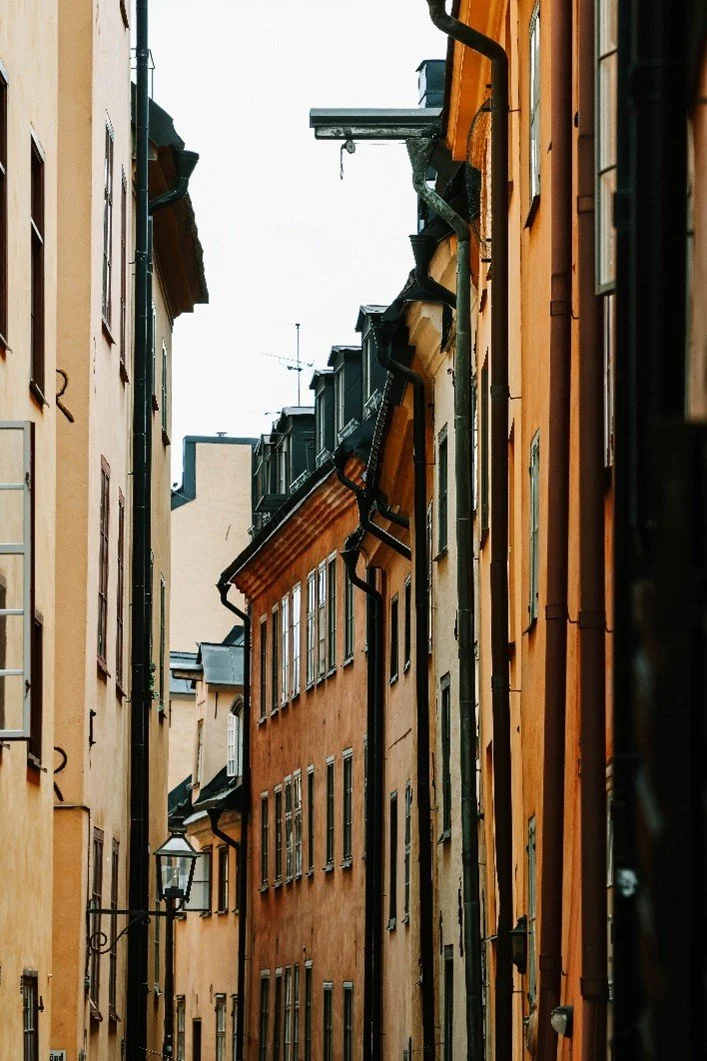 âWhispers Between the Wallsâ
As told by a fox named Vesper
They call it Muren Street. I call it home.
I wasnât born here, mind you. I wandered in one rainy dusk, paws damp, heart heavier than my fur. The alley was empty, save for the scent of old s