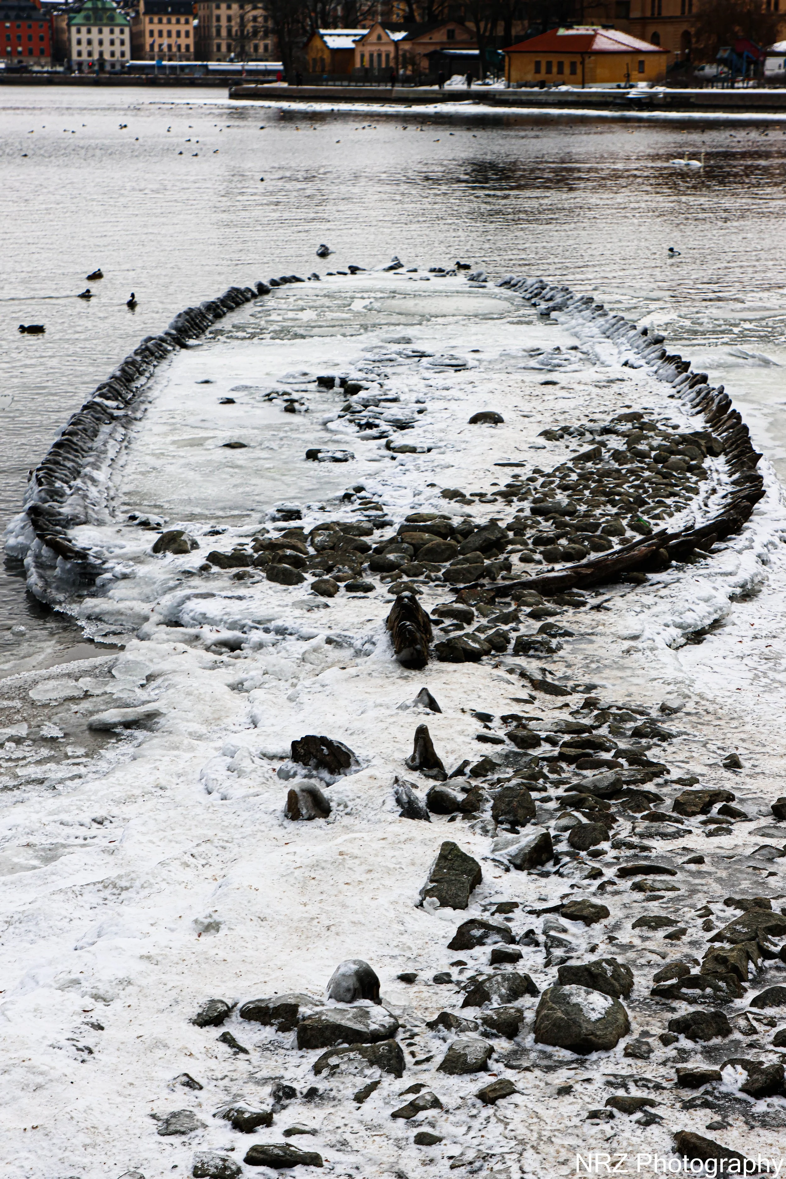 1600s Shipwreck has come to light when the water tide has been extremely low and is a rare sight into Stockholms History. More information in the link below. 