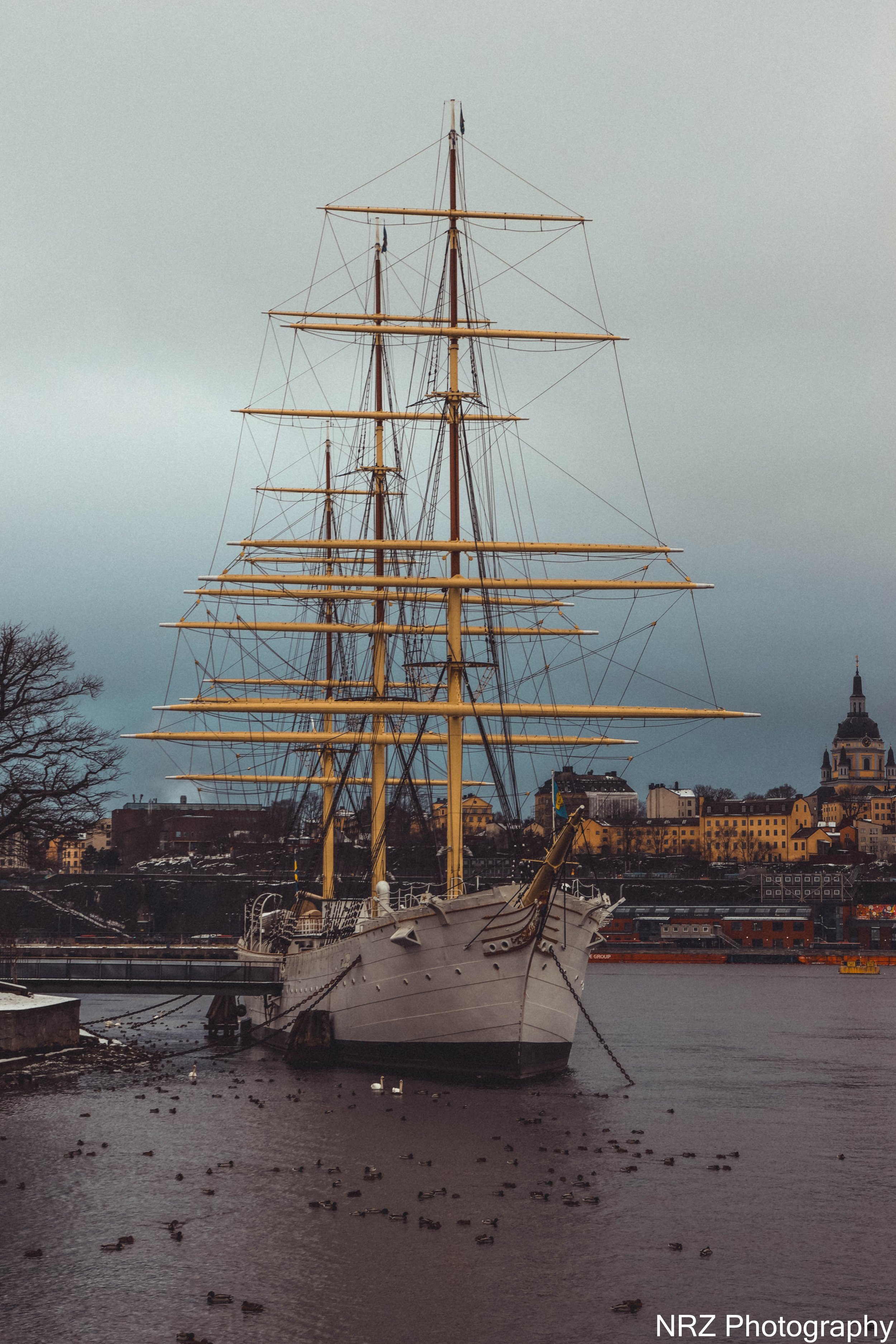 Captain Charlie and the Chaotic Seas of Folklore
Captain Charlie wasn’t your average skipper. Mostly because he was a squirrel a tiny, hyperactive fuzzball who somehow commanded a full‑sized ship. He zipped across the deck like a compass needle havin