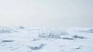 Loving God When Nothing Is Blooming