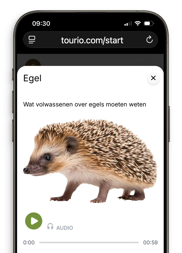 Screenshot van de Tourio van Avolare