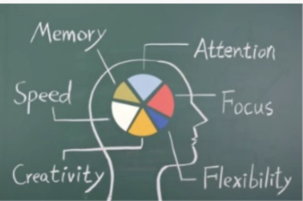 brain improvement