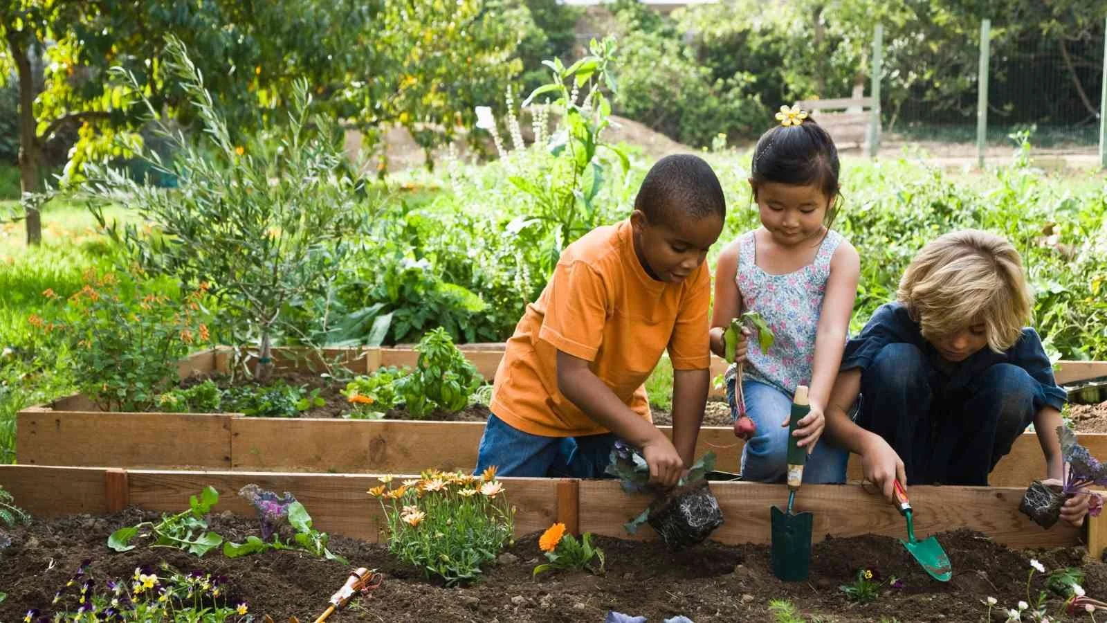 Three children planting flowers in a garden bed outdoors.