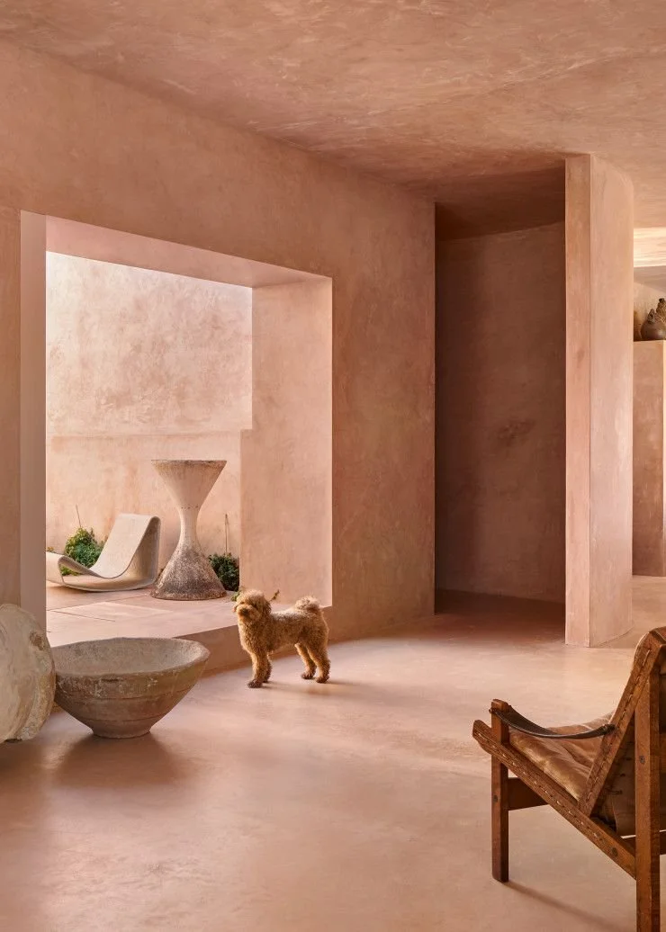 Clay plaster and limewash interior walls colour drenching in a modern living room with large window and small dog