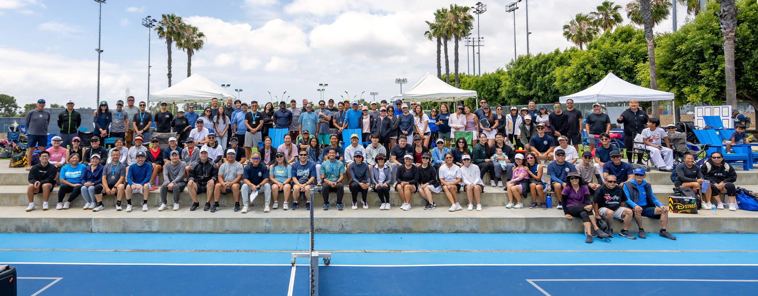 2026 Q2 JEMS Journal – Sports (Pickleball).png