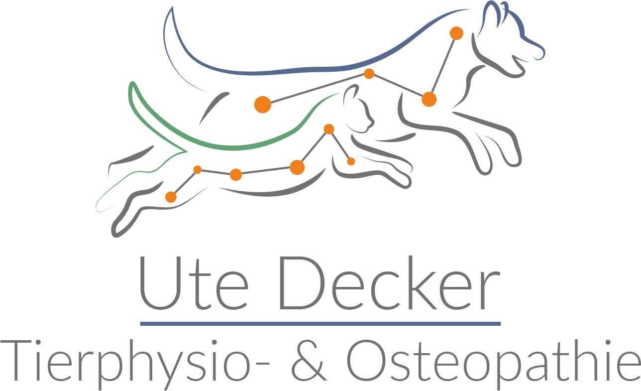 Tierphysiopraxis zum Thiesenhof