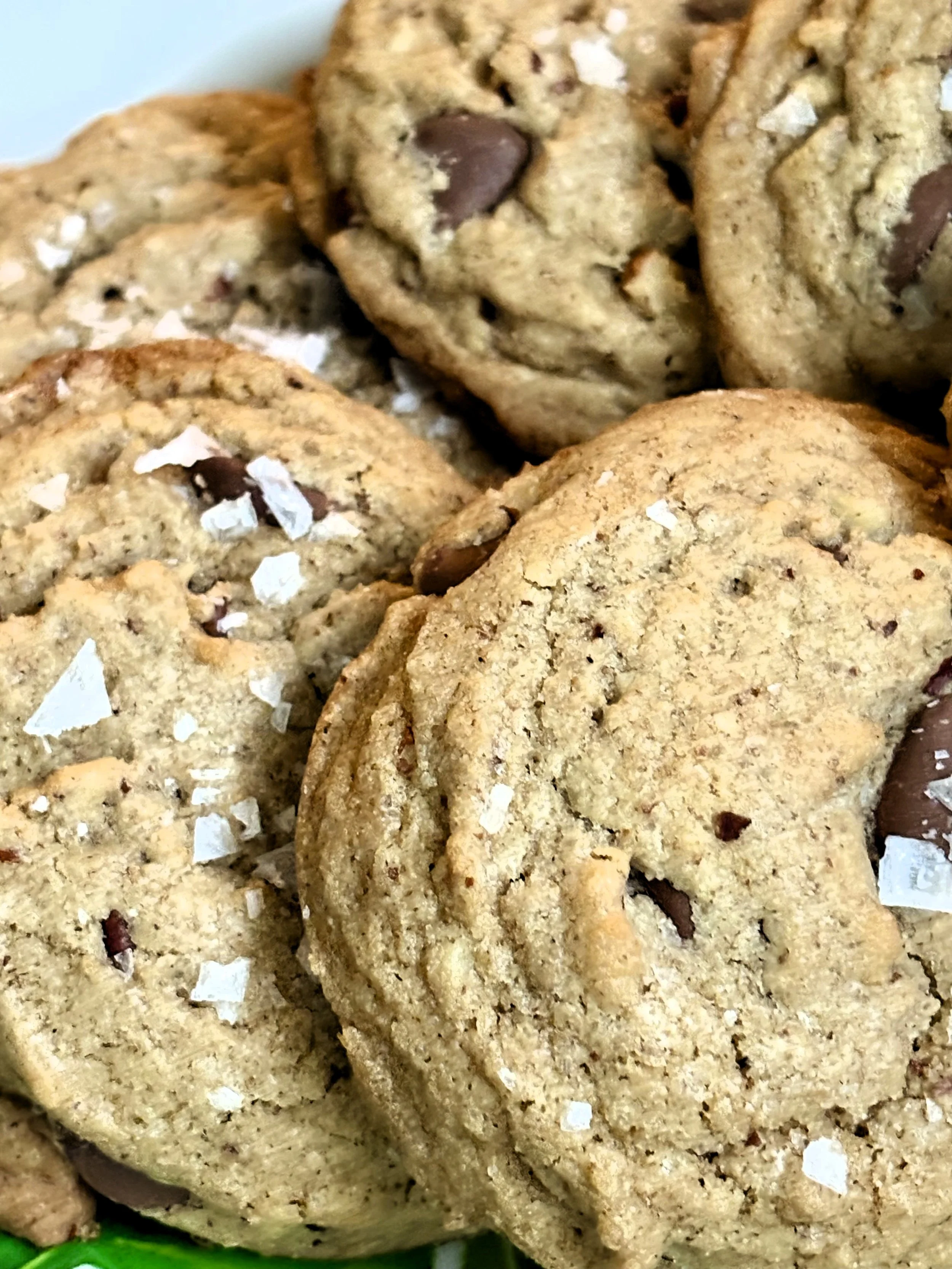 IMG_6794 enhanced.jpg