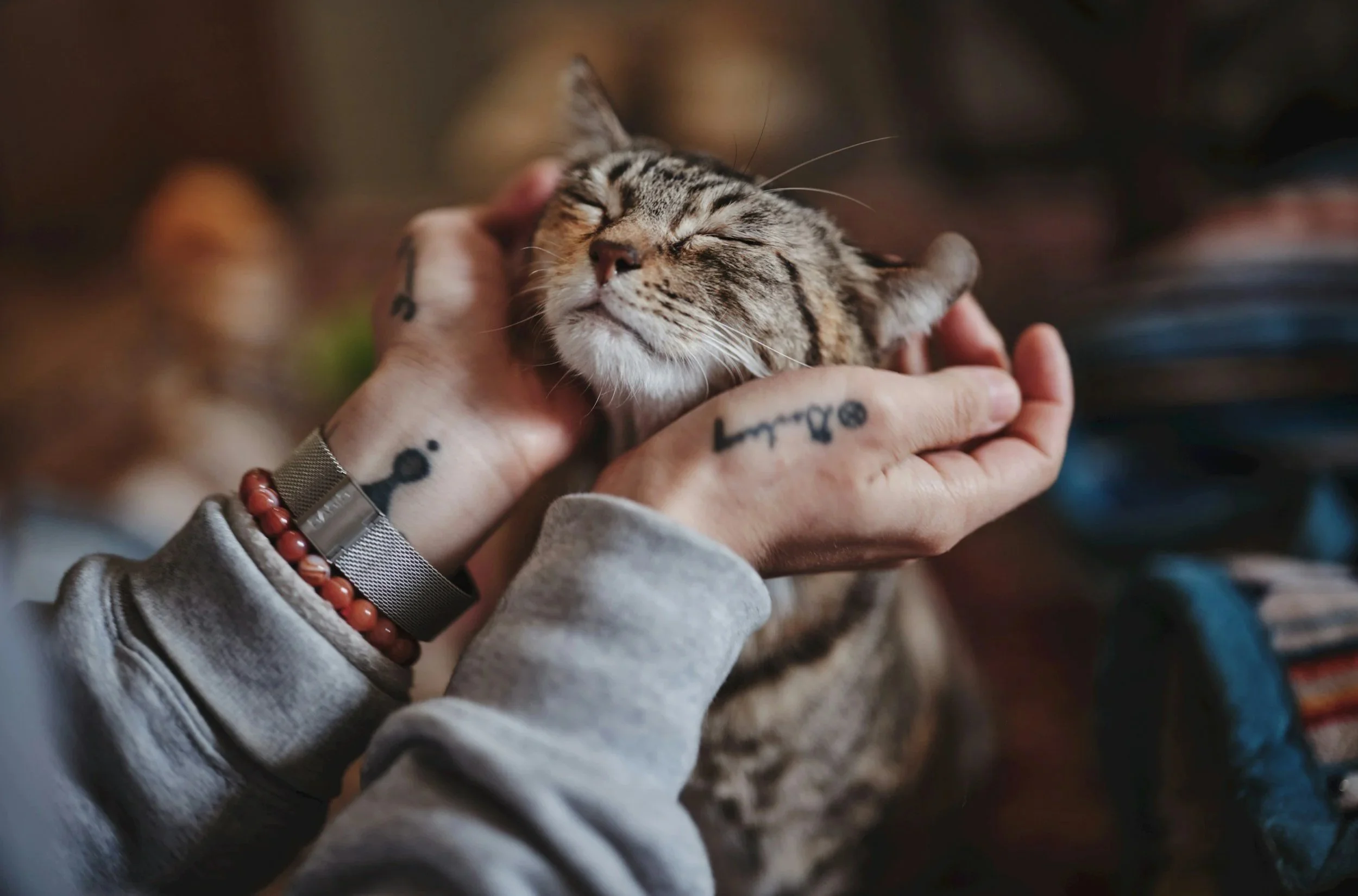 Woman gently holding her cat’s head in her hands, representing the bond between people and emotional support animals