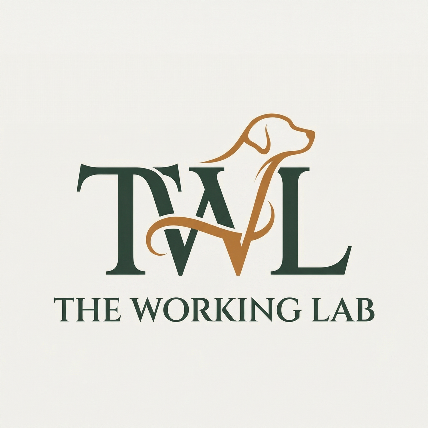 The Working Lab
