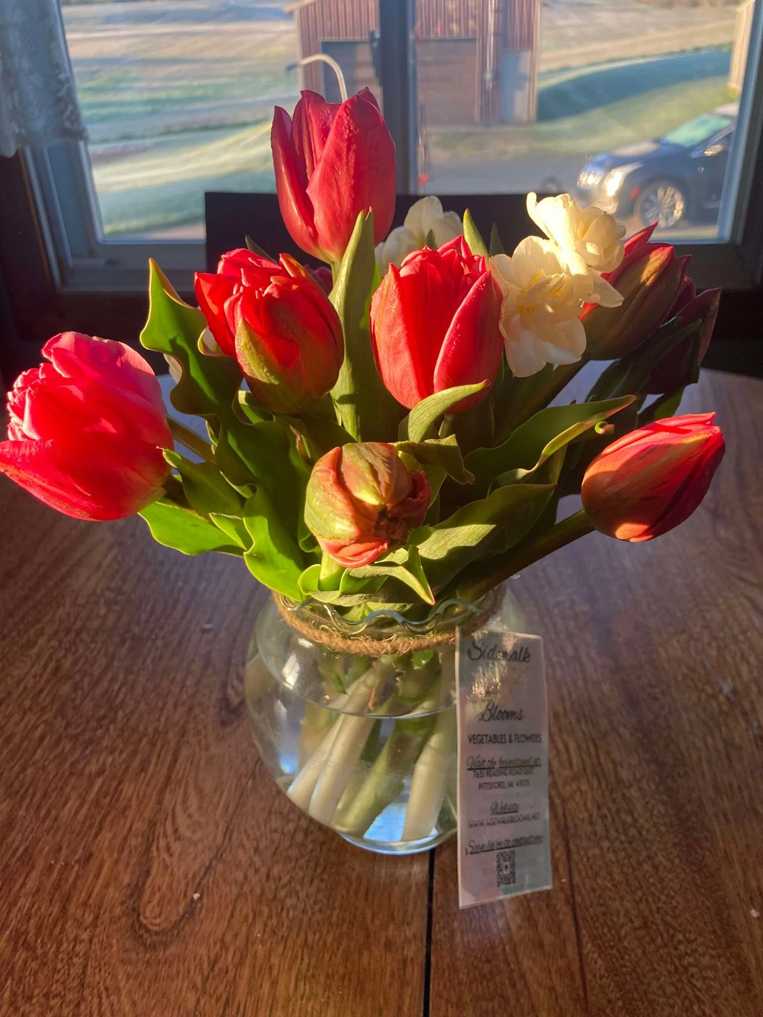 tulips 2.jpg