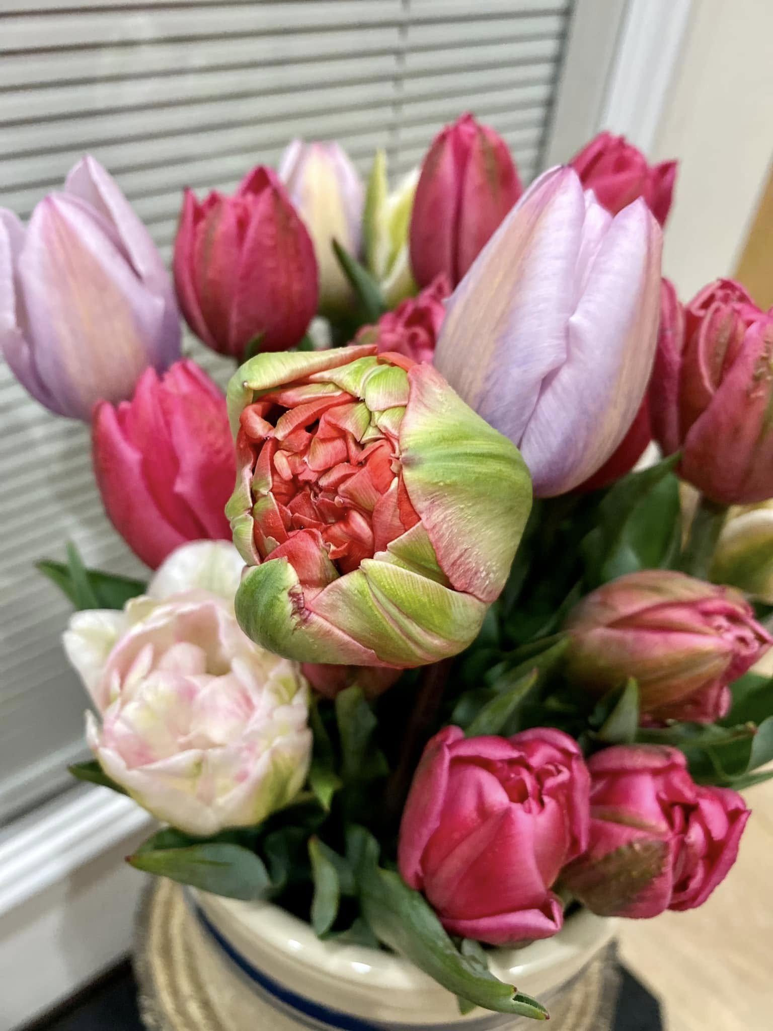 tulips 3.jpg