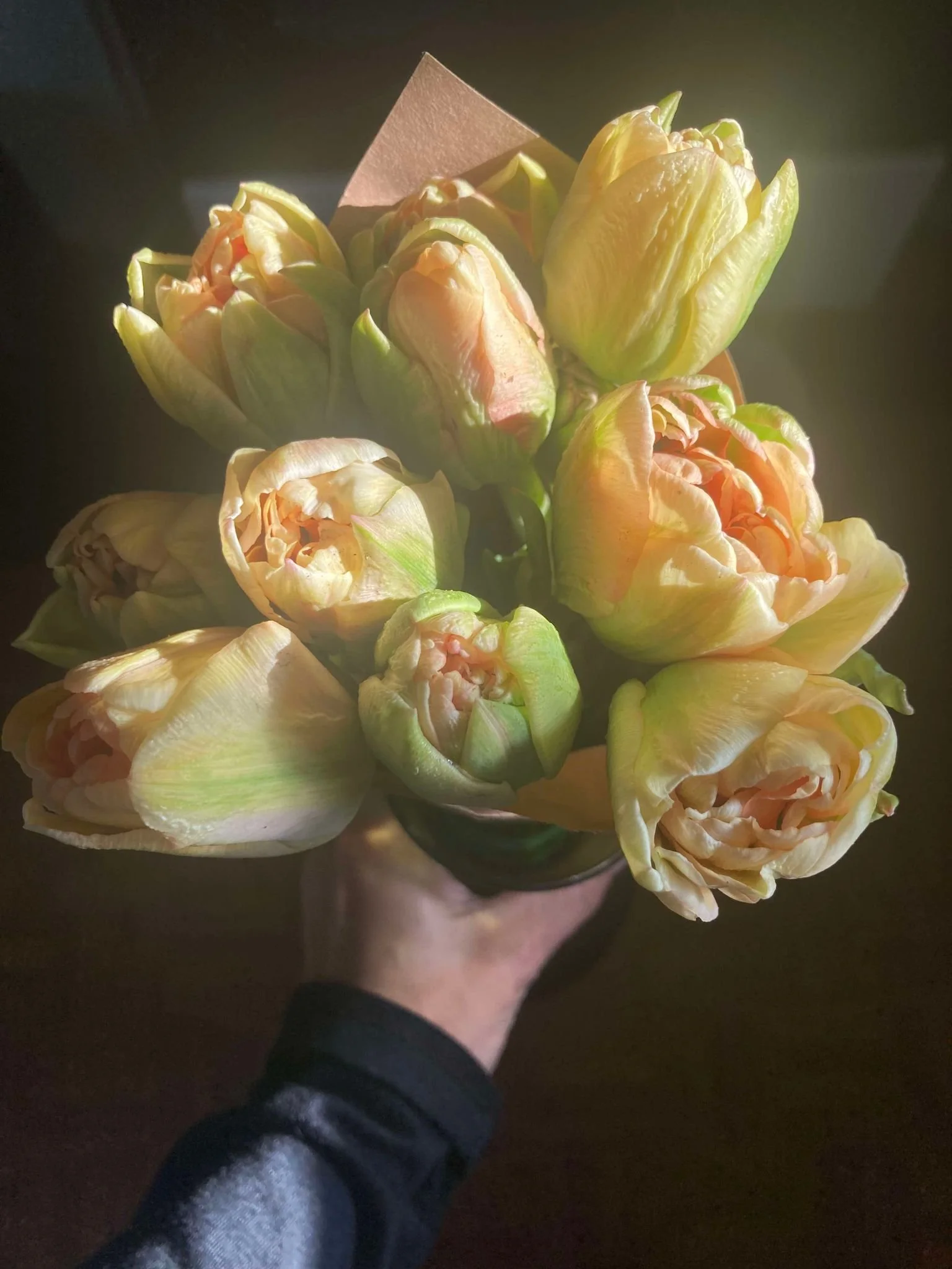 5-1-24.jpg