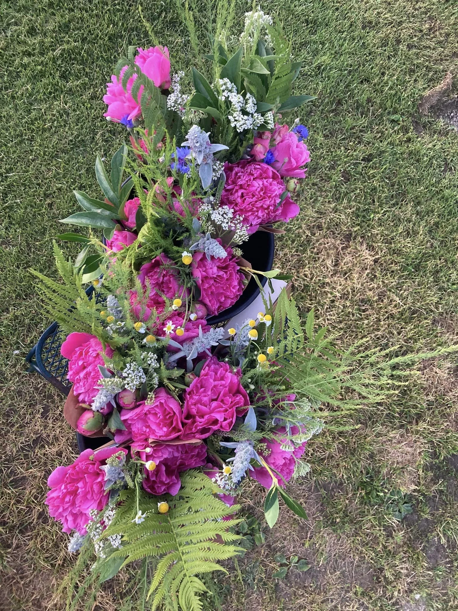 5-31-24.jpg