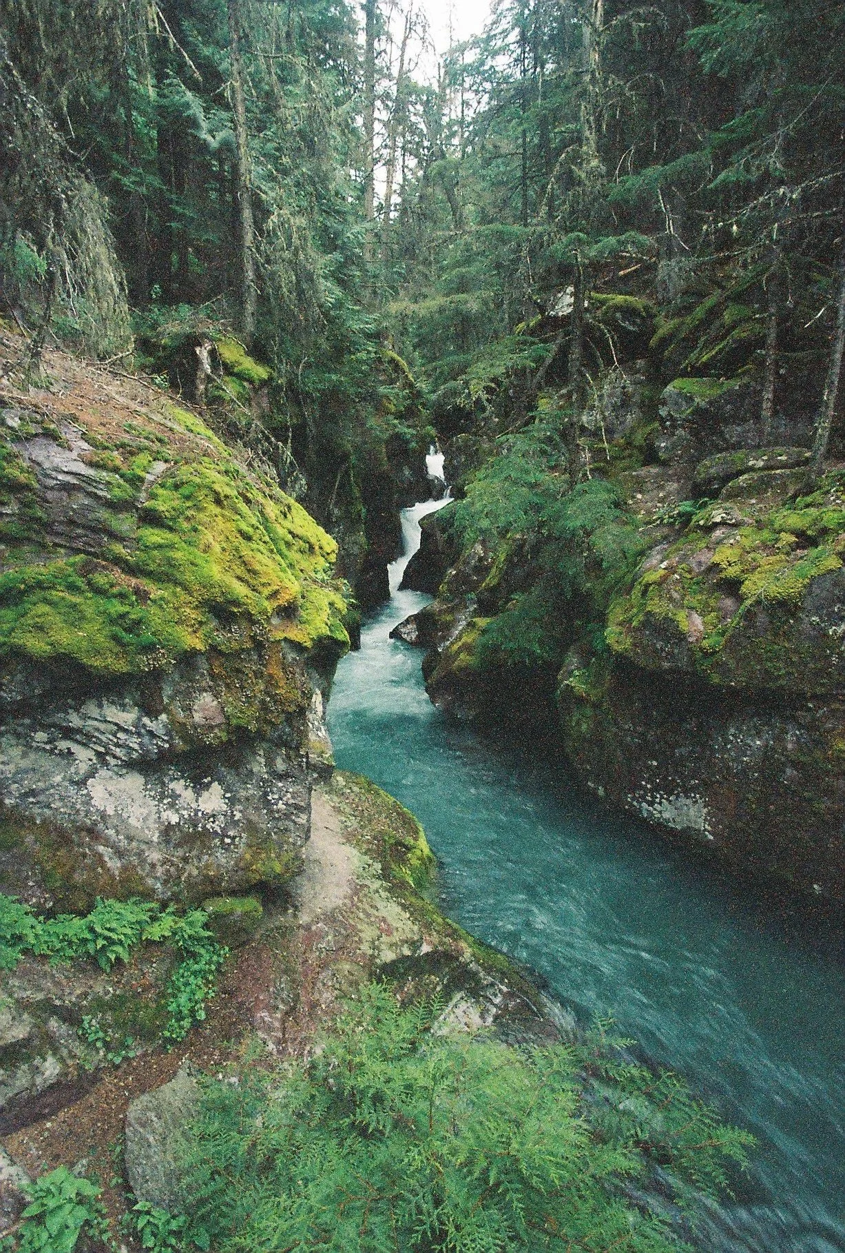 A narrow, moss-covered rocky canyon with a flowing river surrounded by dense, green forest trees.