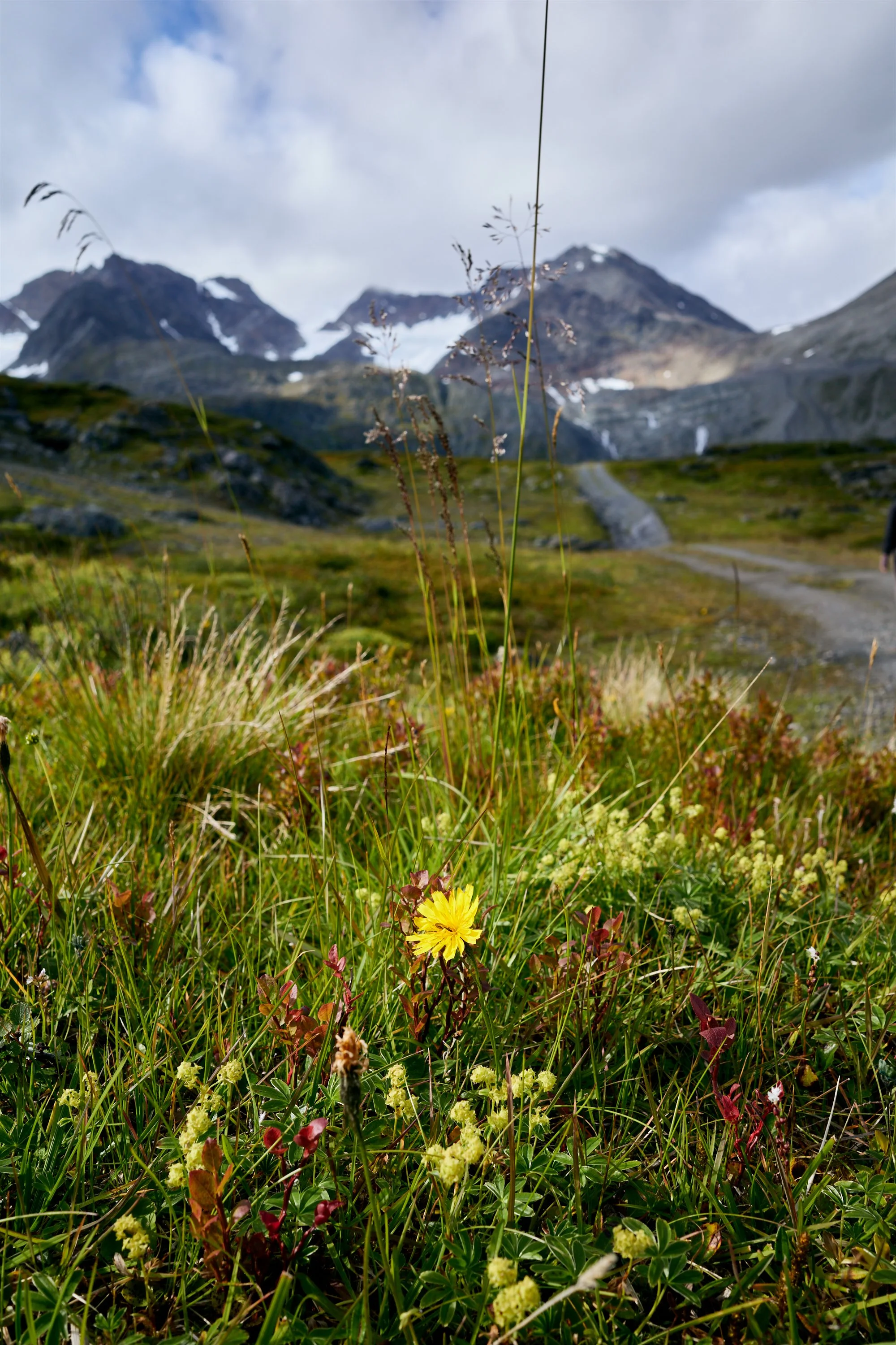 R0002433.jpg