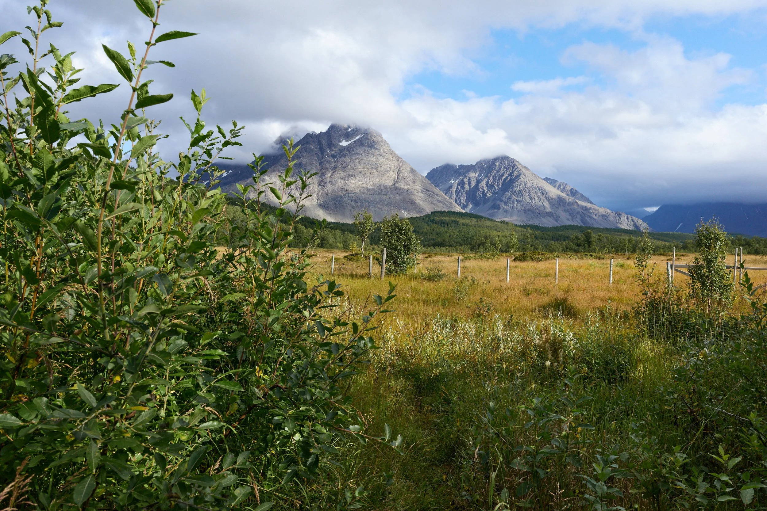 R0002472.jpg