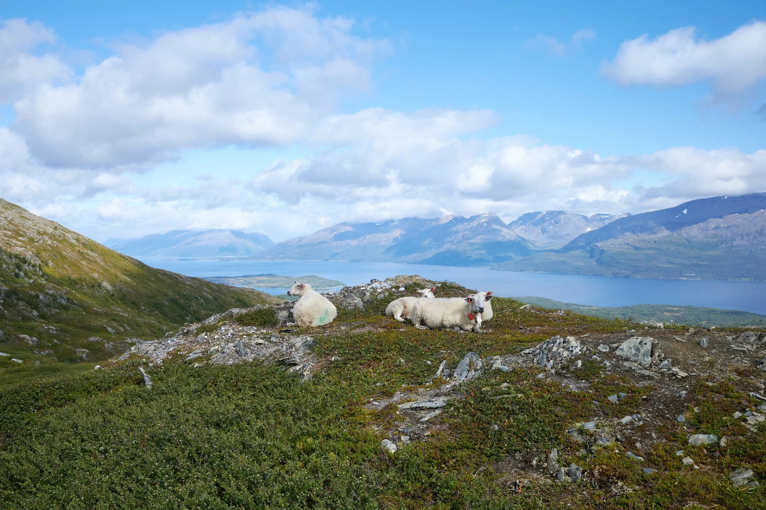 R0002430.jpg