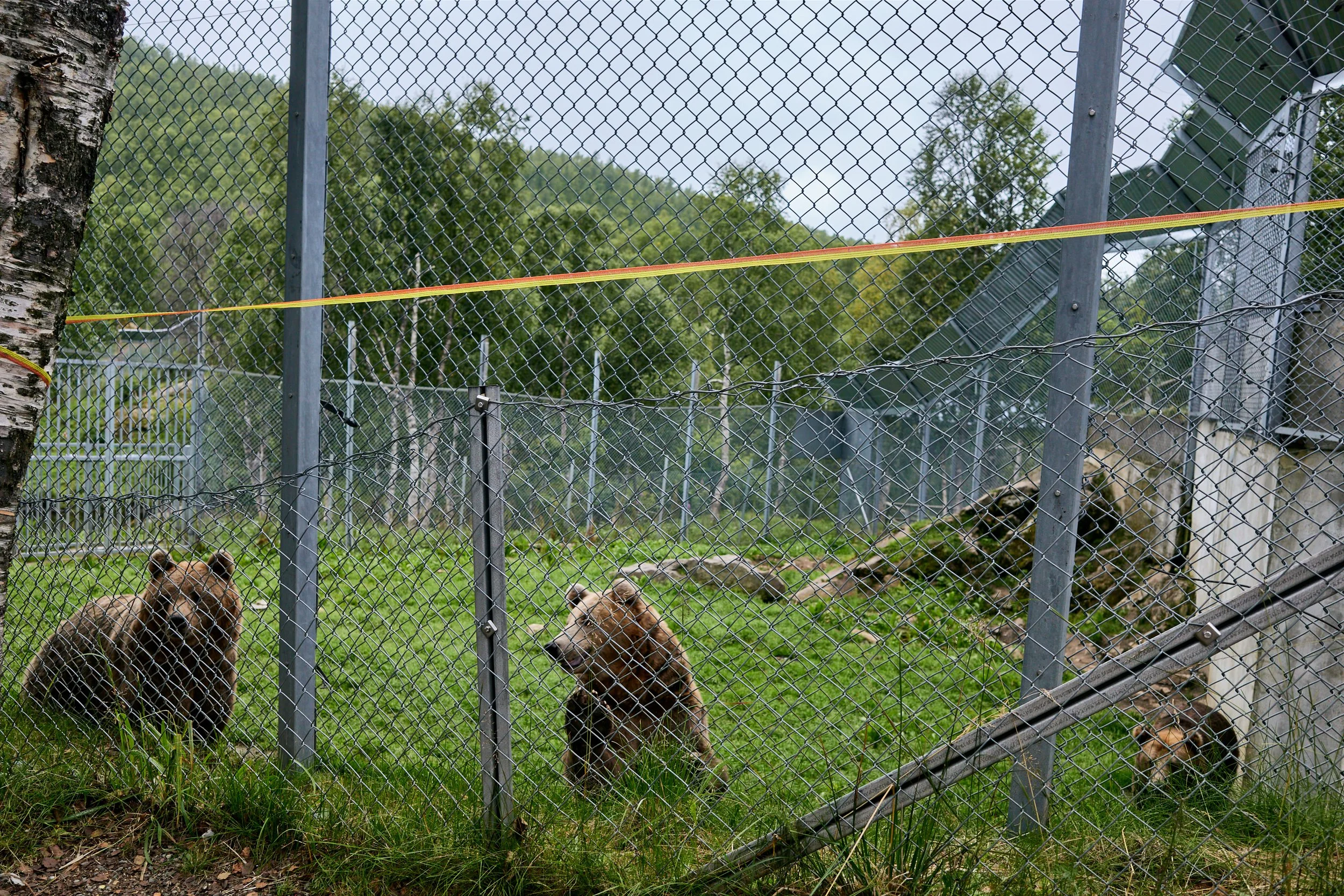 R0002334.jpg