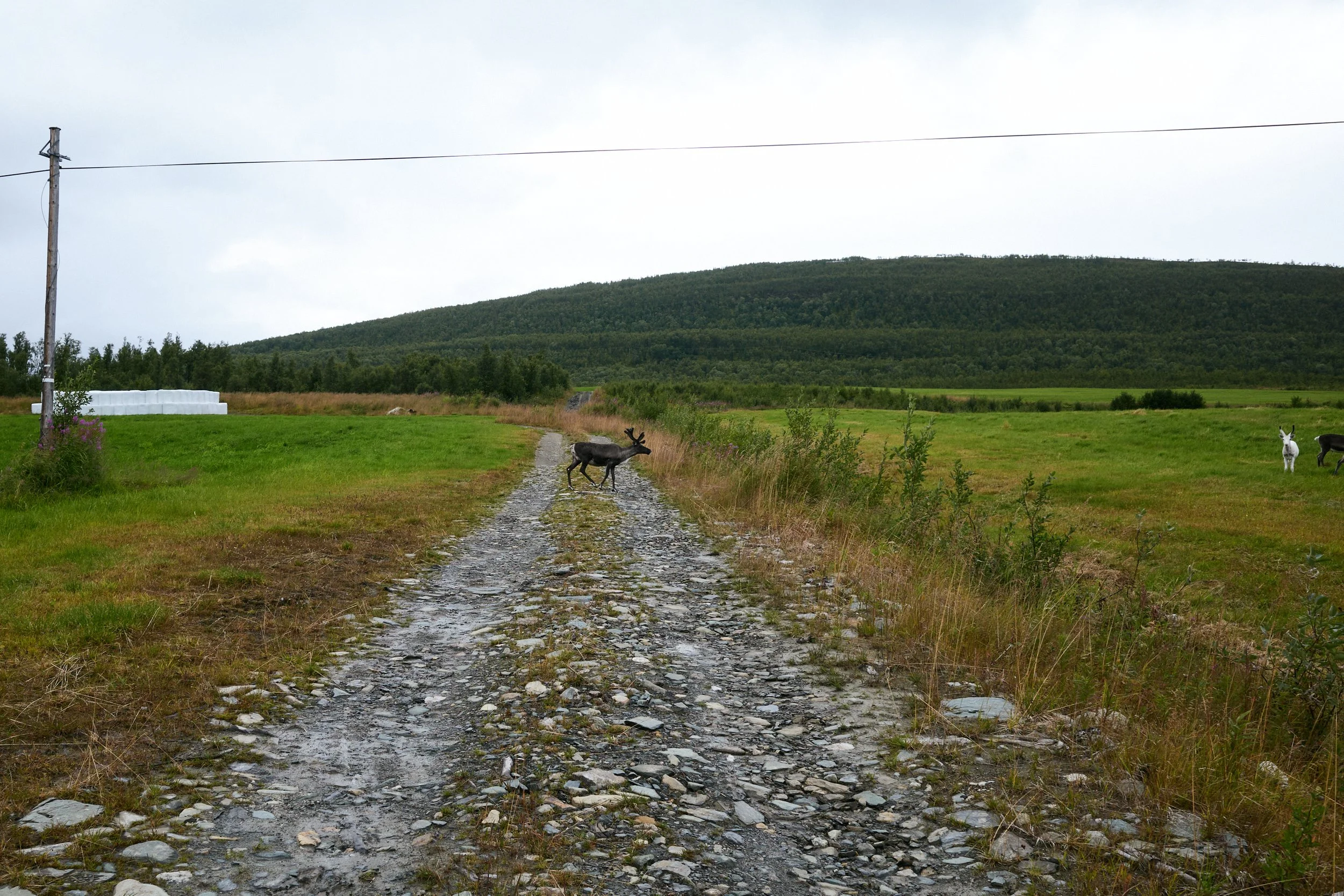 R0002484.jpg