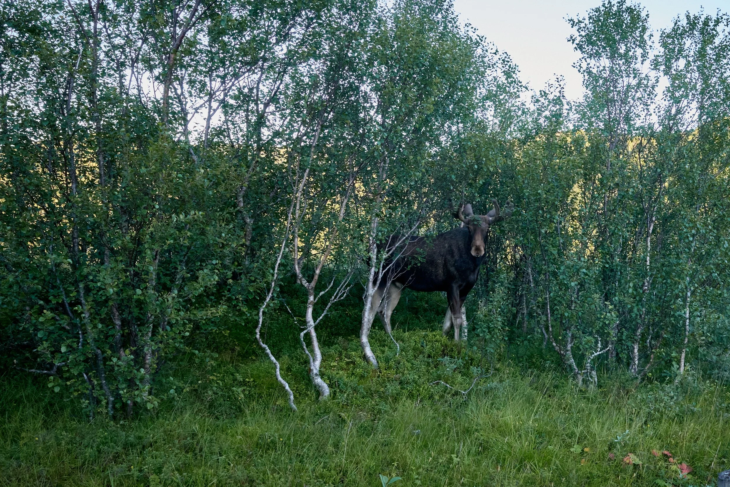 R0002262.jpg