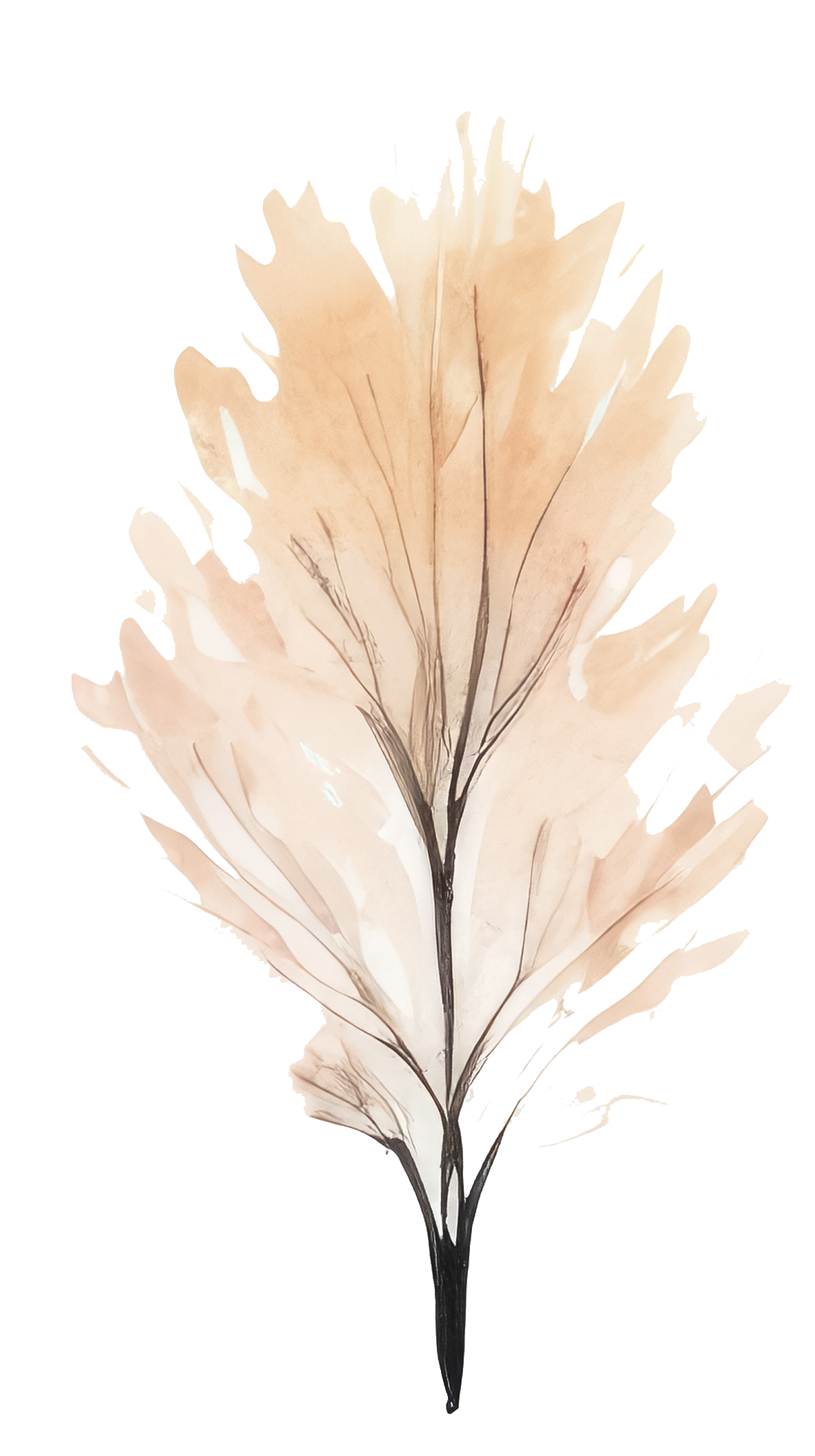 A watercolor painting of a beige and light brown tree with intricate dark veins, standing upright against a transparent background.