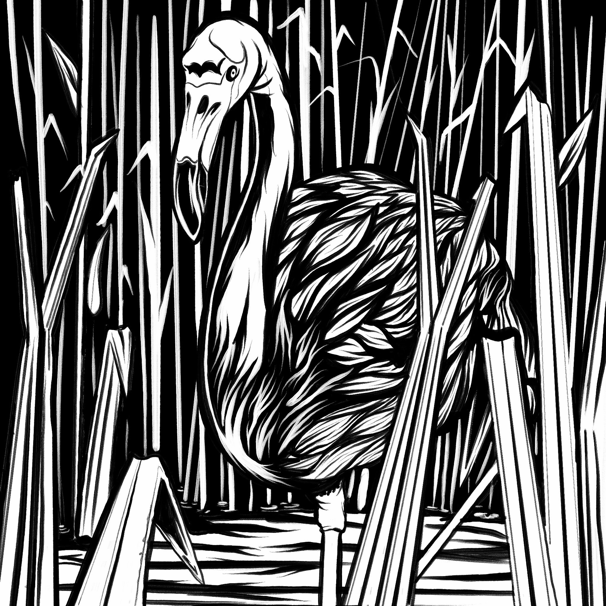 Flamingo.jpg