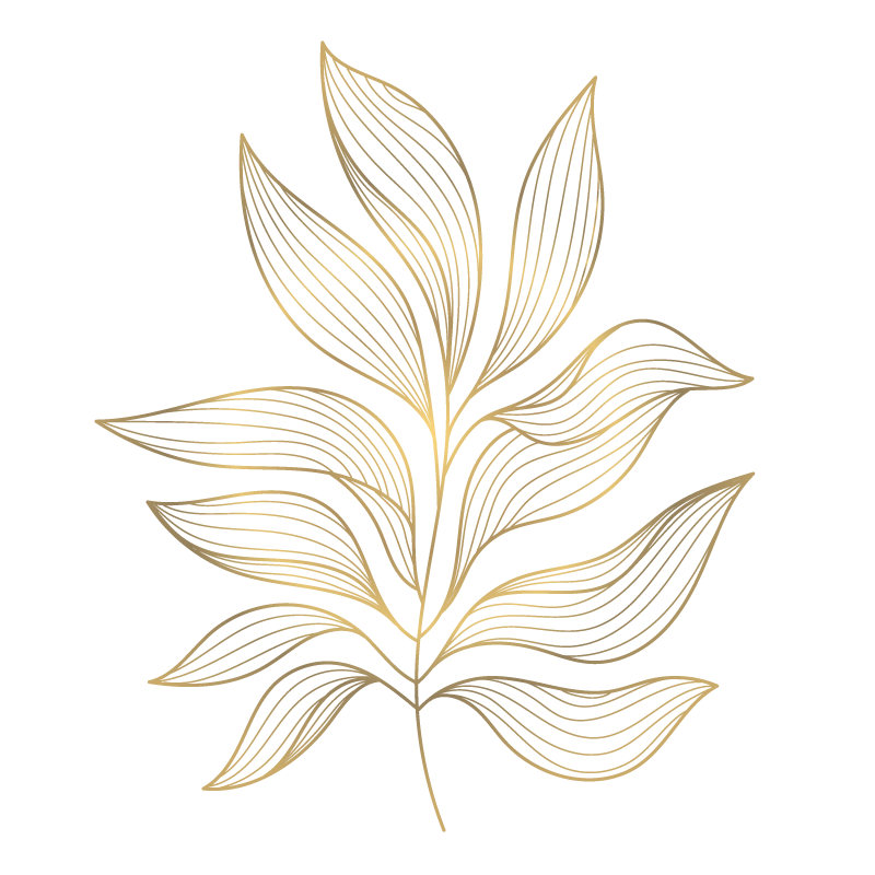 Martina Dahlmanns Couselling: Martina Dahlmanns Counselling: Individual, Relationship, and Social Awareness Counselling