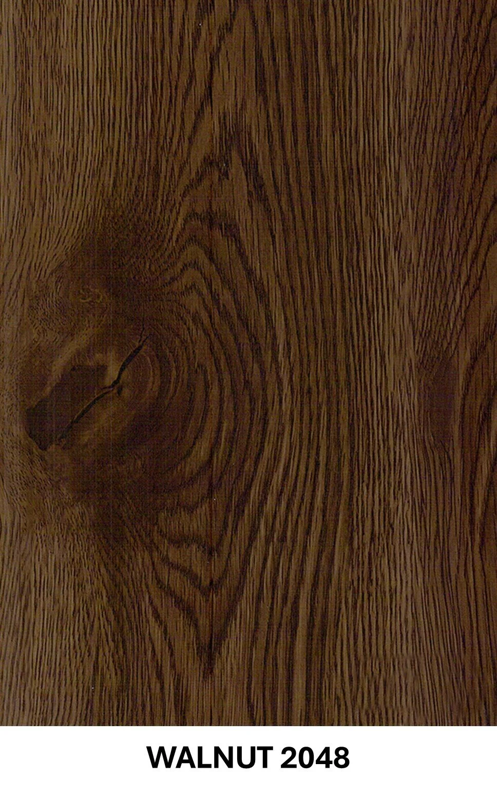 Walnut 2048.JPG