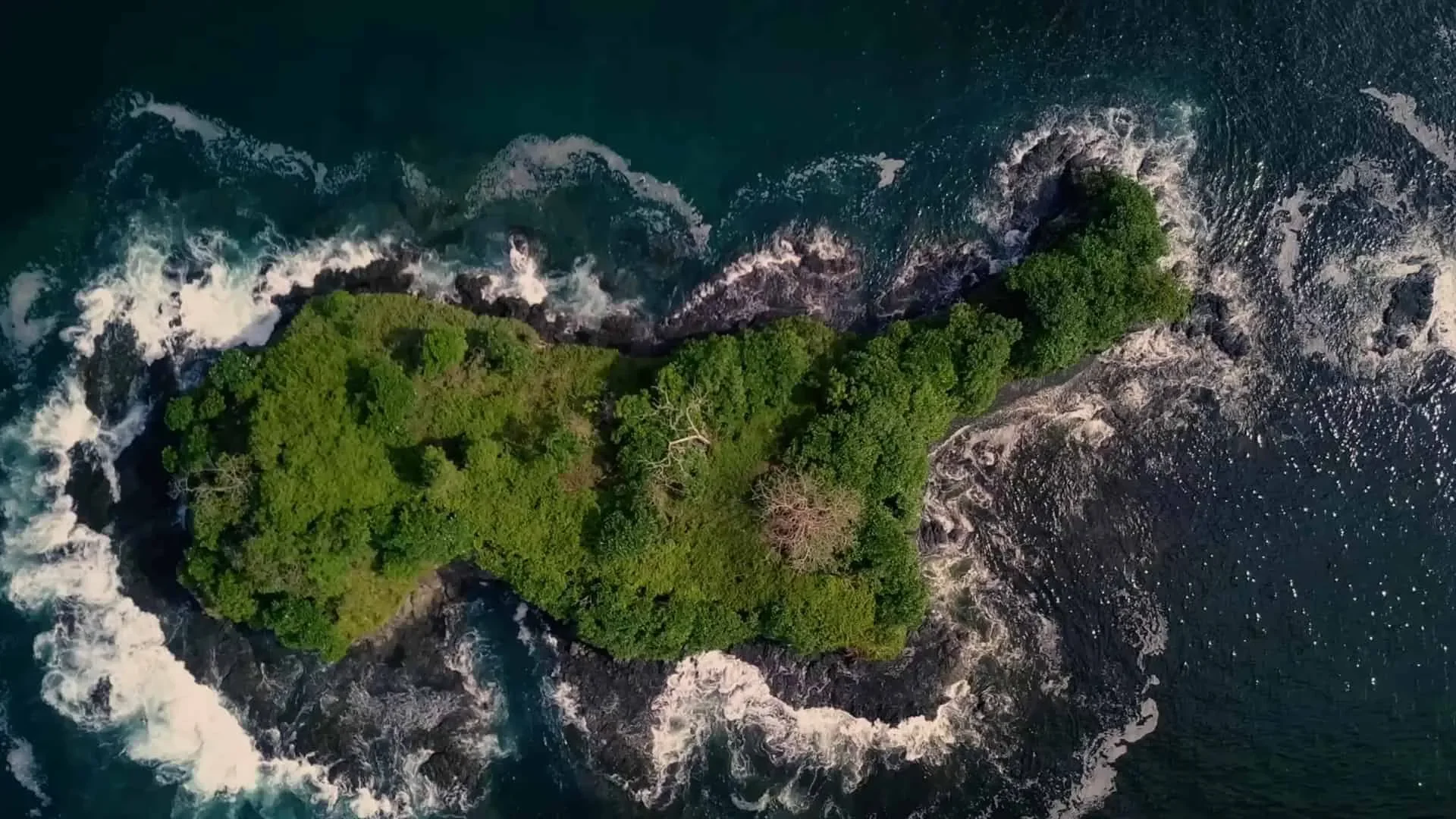 Real Ownership Flexibilty