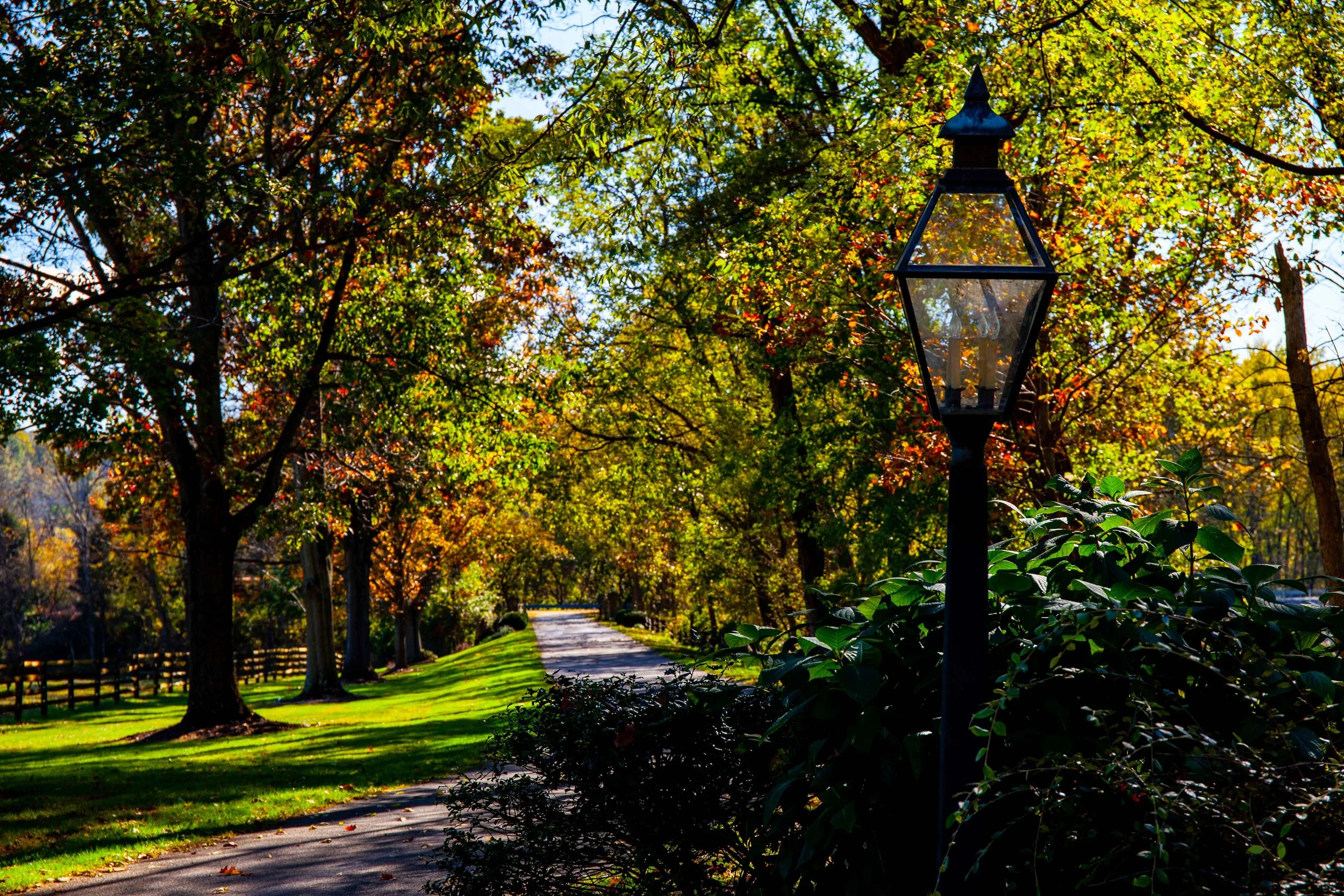 A peaceful autumn scene with a winding path lined with trees displaying fall foliage, a vintage lamppost in the foreground, and sunlight filtering through the leaves.