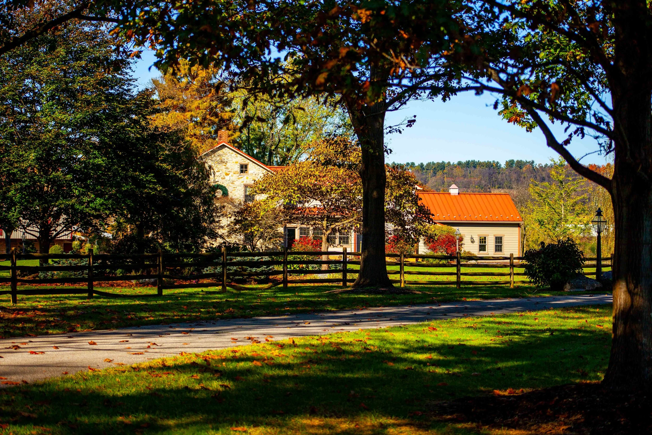 A picturesque rural scene with trees, a wooden fence, a paved path, and houses with red roofs in the background, under a clear blue sky.