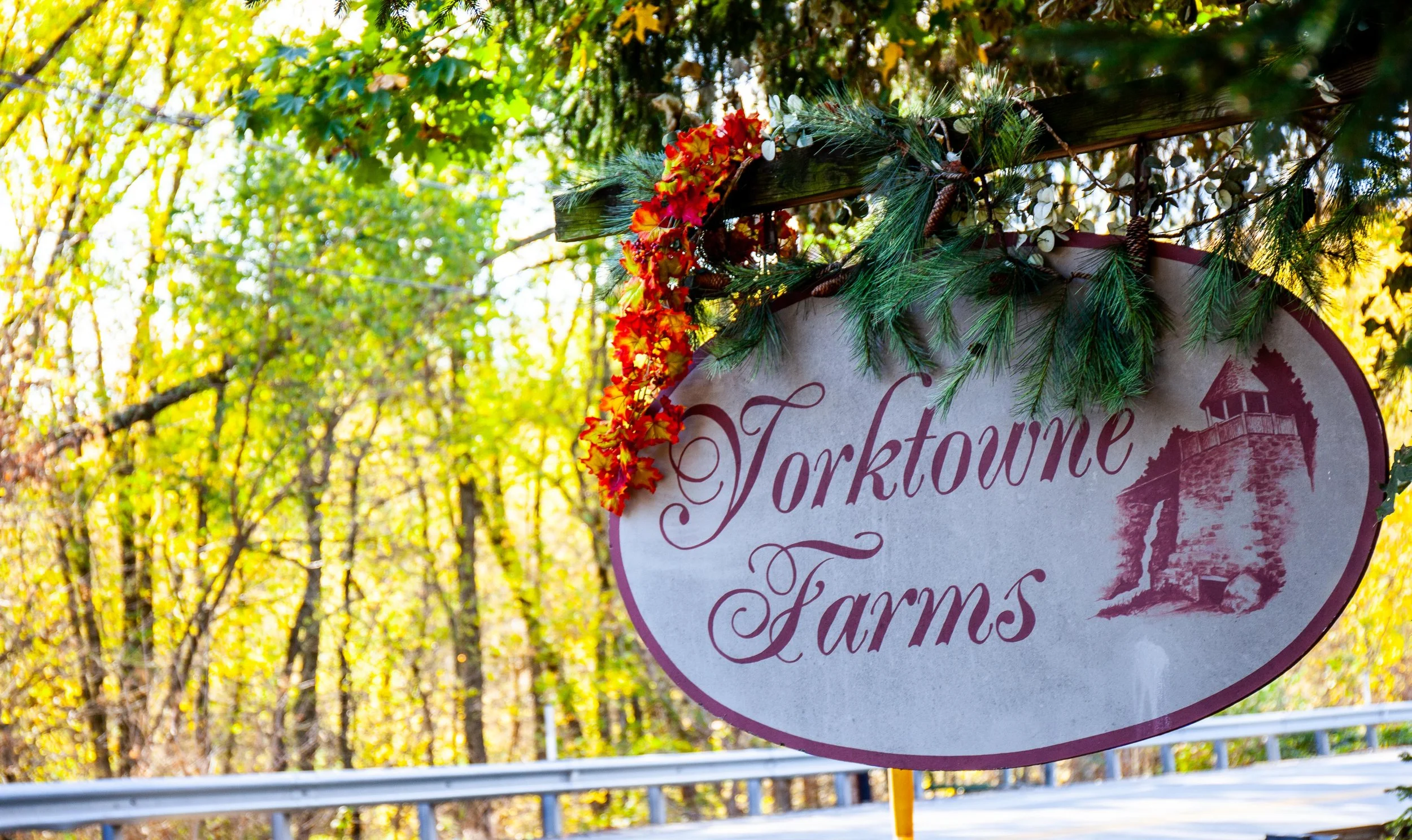Sign for Torktowne Farms decorated with pine branches and red leaves, with a background of trees with autumn foliage.