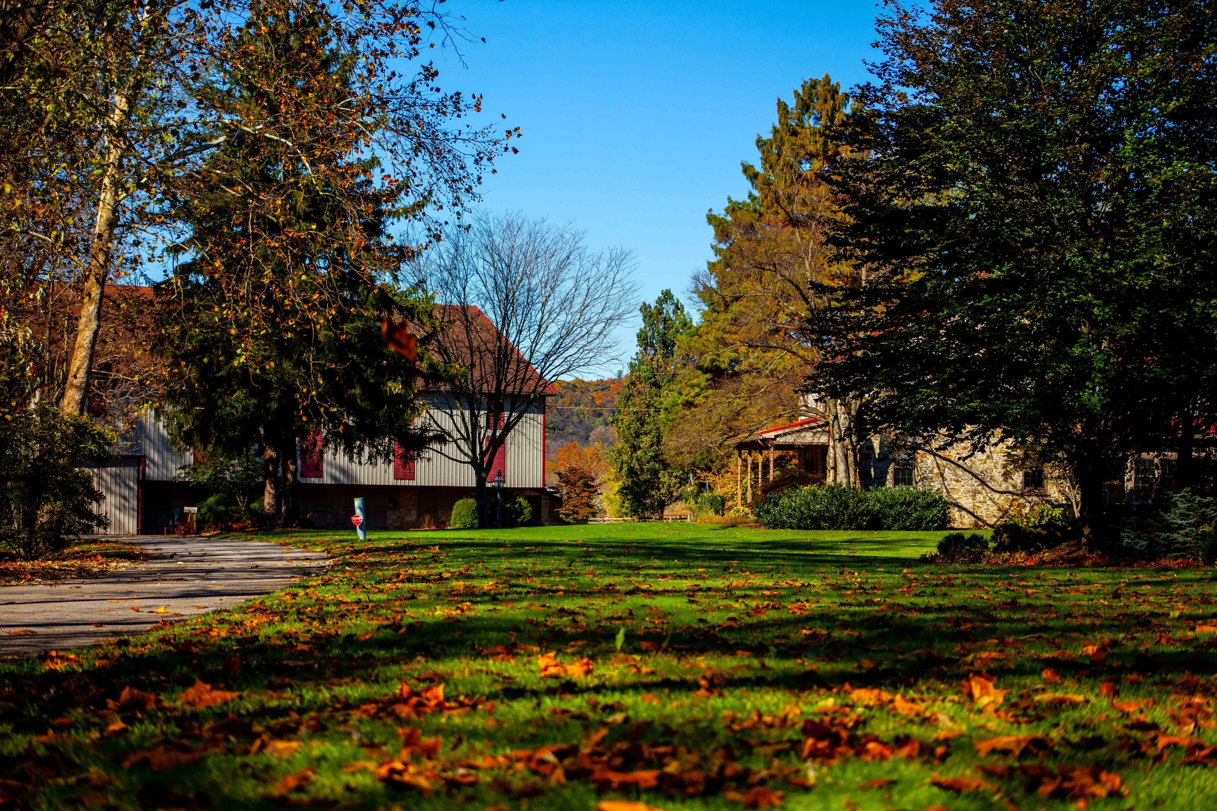 A residential neighborhood scene during fall with green grass, fallen leaves, trees with changing autumn foliage, and houses with a clear blue sky.