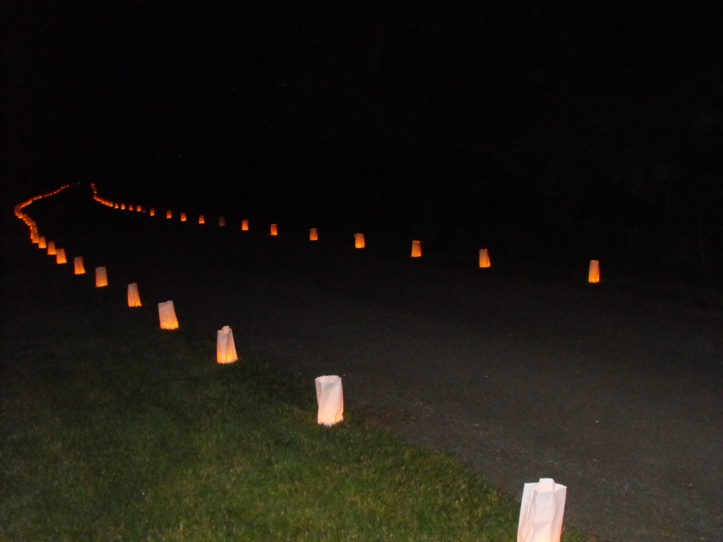 A winding path lined with orange paper lanterns at night, creating a glowing trail through darkness.
