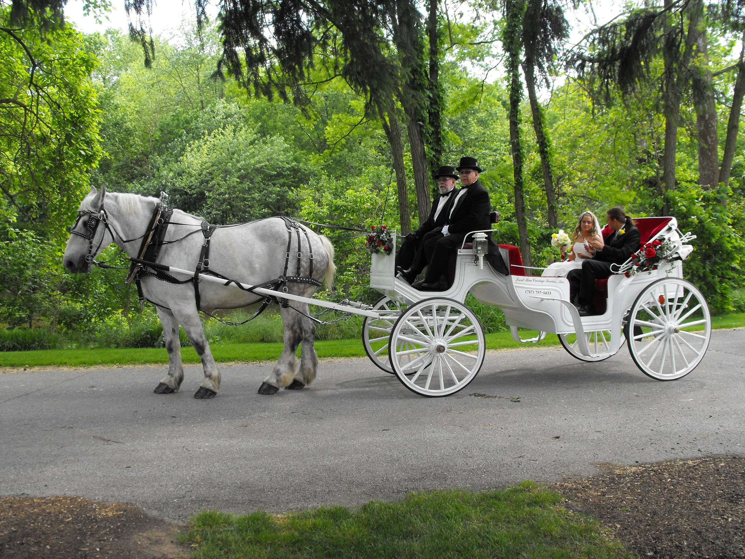 A horse-drawn carriage with two people dressed in black sitting on the front, and a bride and groom in wedding attire sitting in the back, driving along a paved road through a lush, green park with trees.