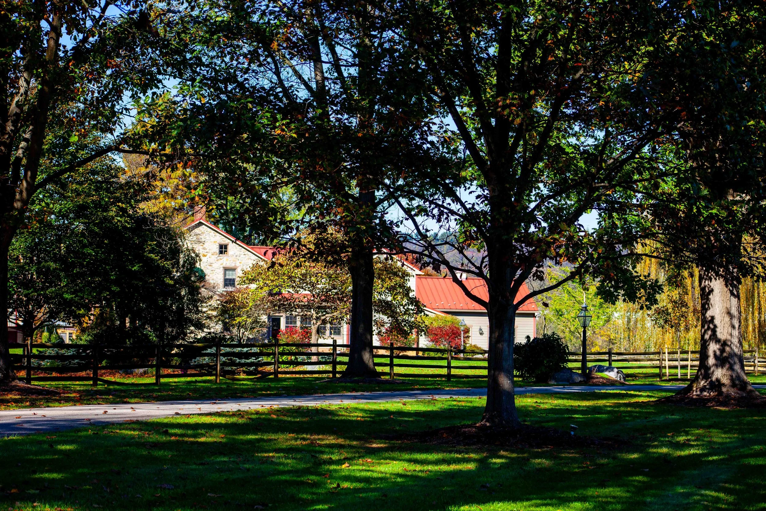 A park scene with trees, a grassy area, and a house with a red roof in the background.