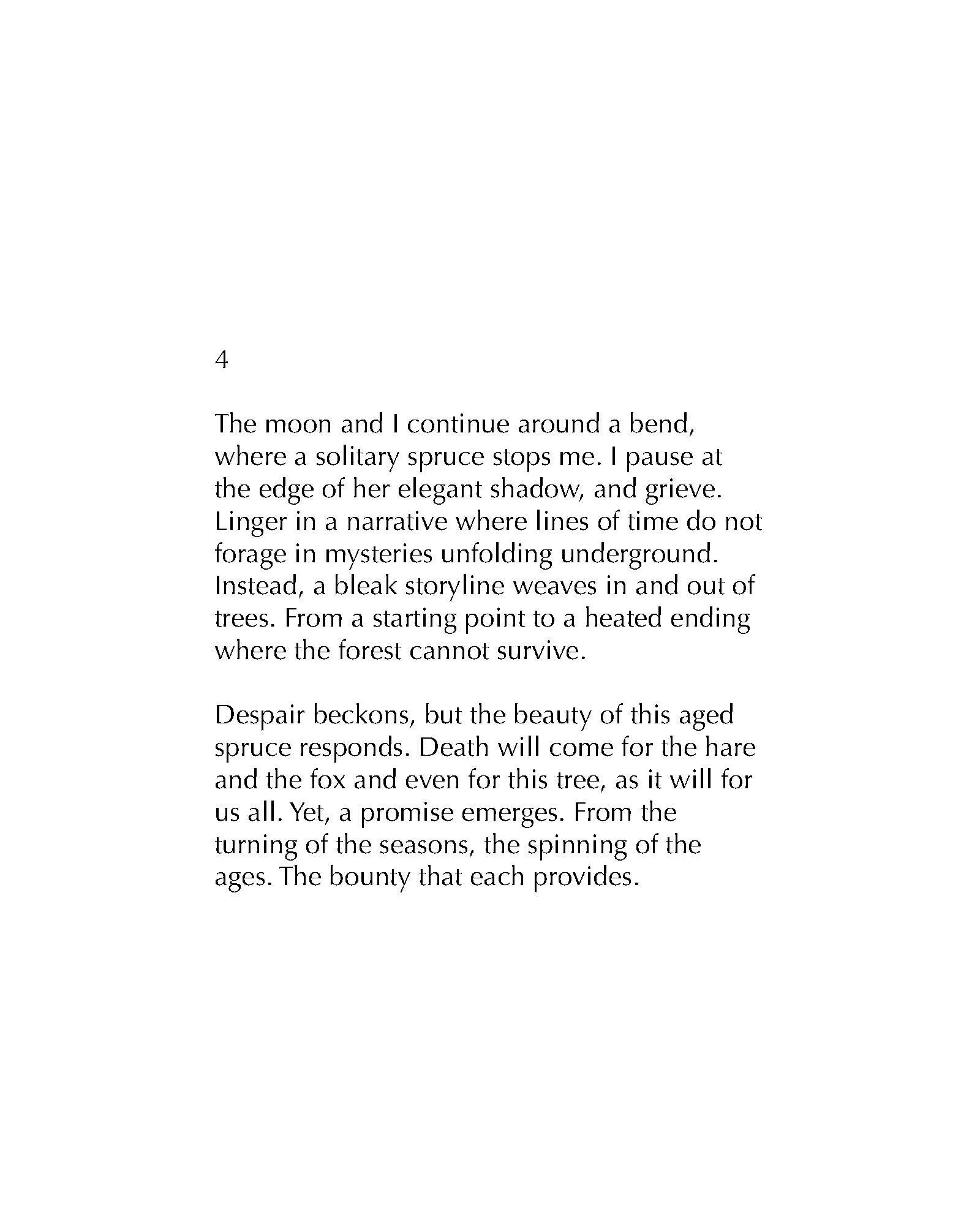 SOC-Debbie-Moderow-4.jpeg