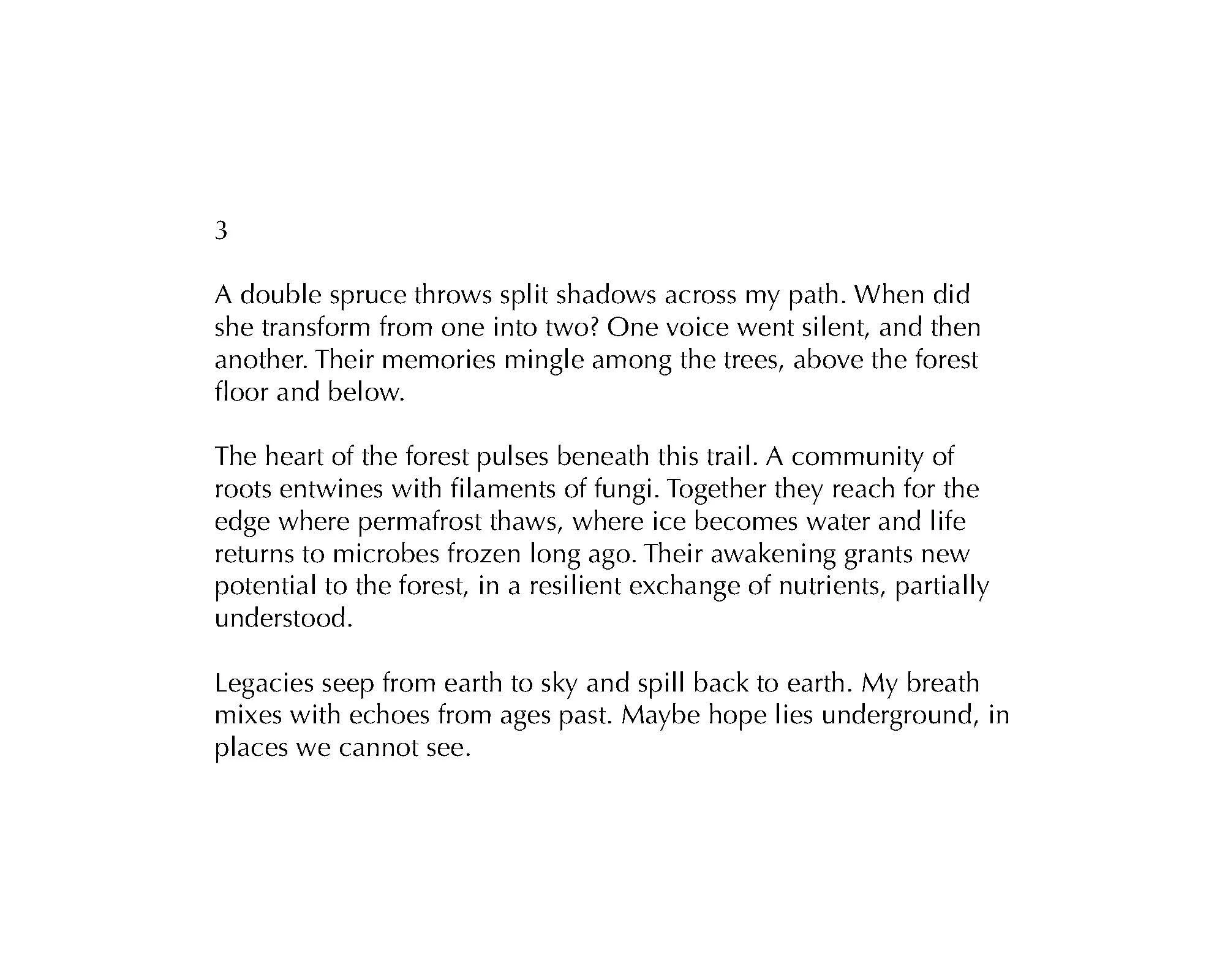 SOC-Debbie-Moderow-3.jpeg