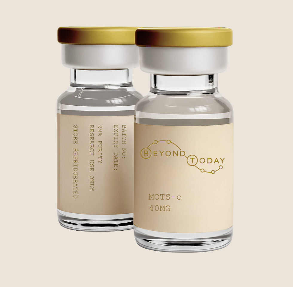 Screenshot 2026-03-22 at 3.04.34 PM.png