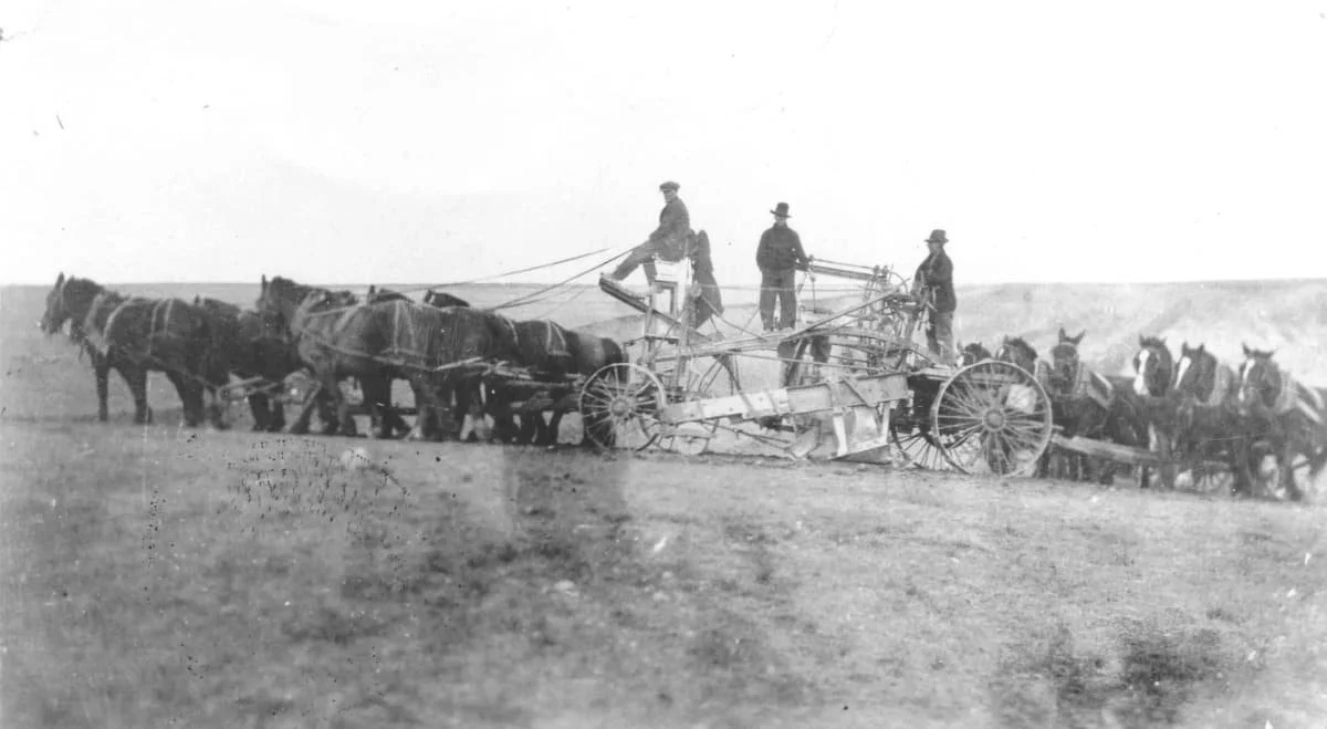 Remember When: Gunworth to Rosetown Rail Line