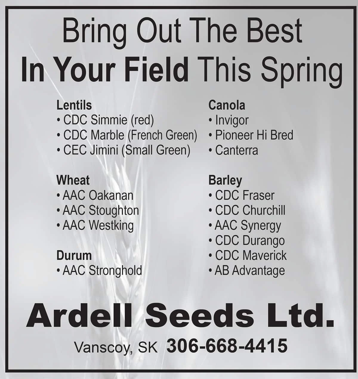 Ardell_Seeds-251028.jpg