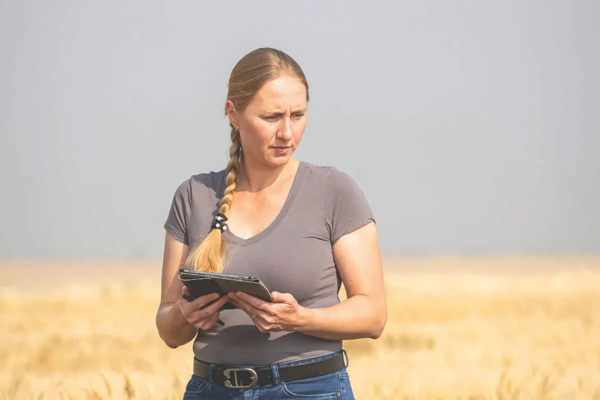 U of S names wheat-breeding chair