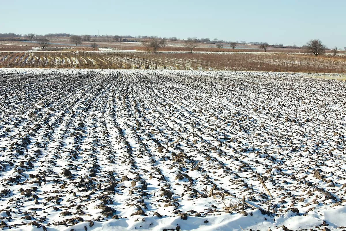 How does snow benefit agriculture?