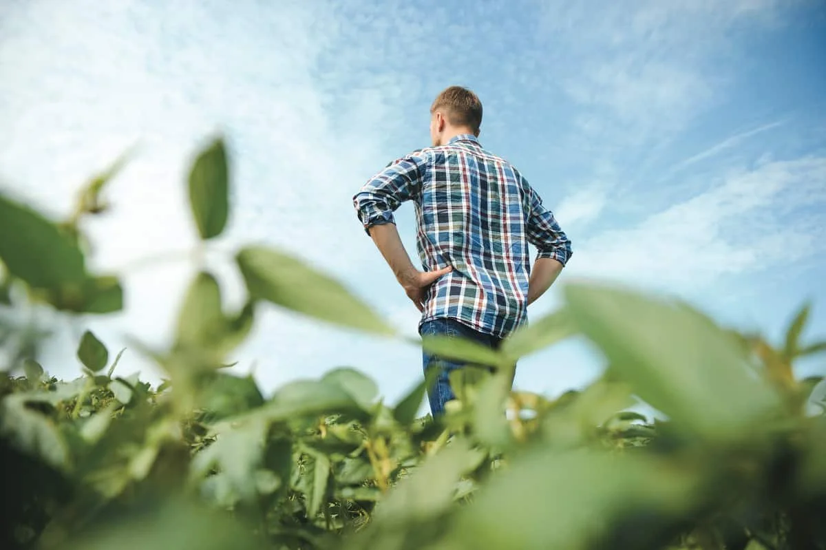Spotlight on biodynamic agriculture