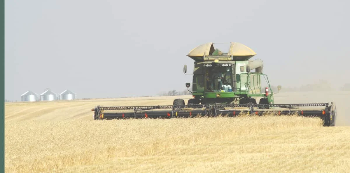 Harvest continues in late September